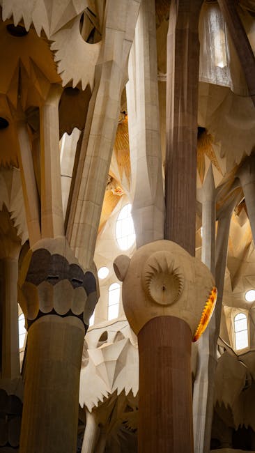 La Nit dels Museus 2026: Una Aurora Cultural Renovada i Participativa Il·lumina Catalunya
