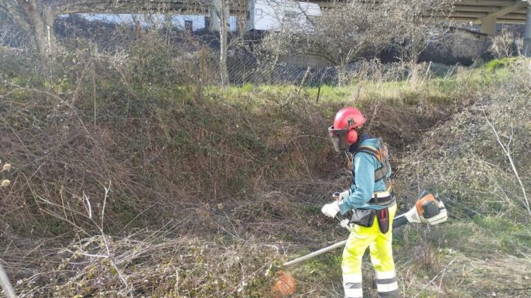 Anem molt tard: El Bierzo, de nou a la corda fluixa davant la temporada d’incendis