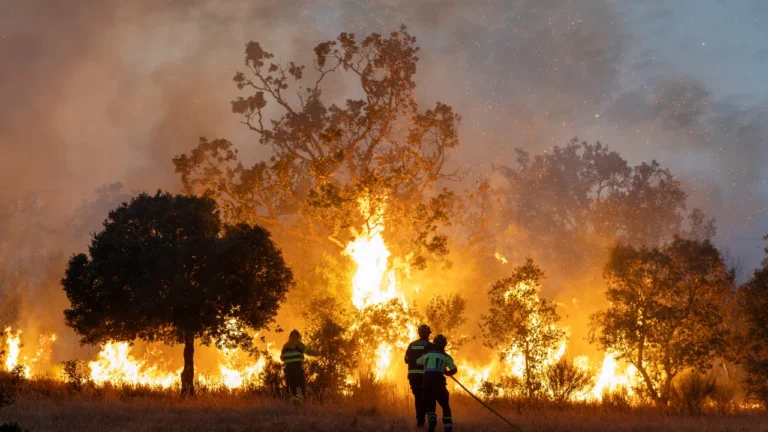 Última hora dels incendis a Espanya en directe: L’incendi de Fermoselle iguala l’extensió cremada del de La Vall d’Uixó
