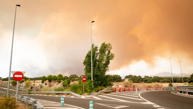 El gran incendi d’Àvila, amb 50.000 hectàrees arrasades, és el major foc de la història d’Espanya