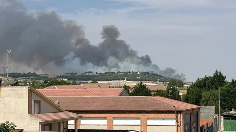 Última hora dels incendis a Espanya: Anàlisi exhaustiu de les causes i repercussions a llarg termini
