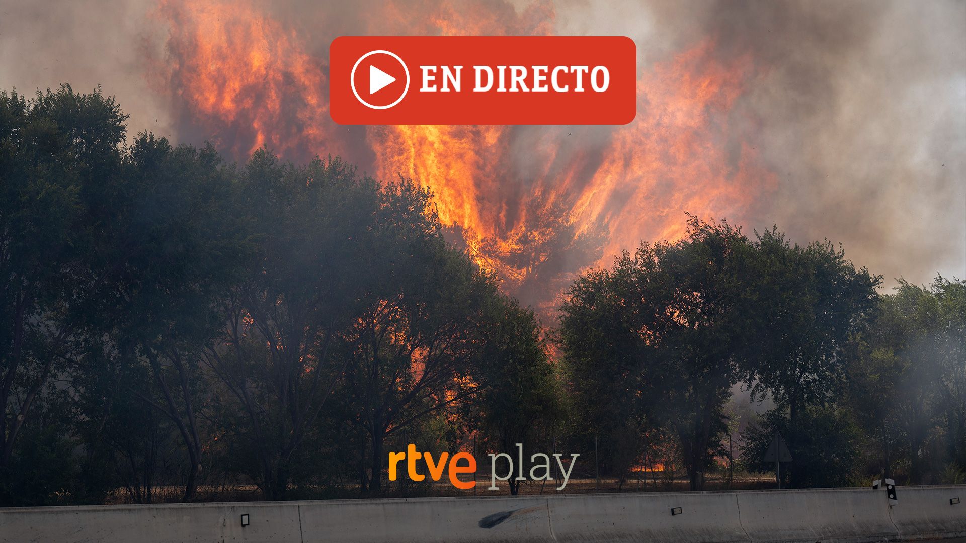 Incendis forestals Espanya