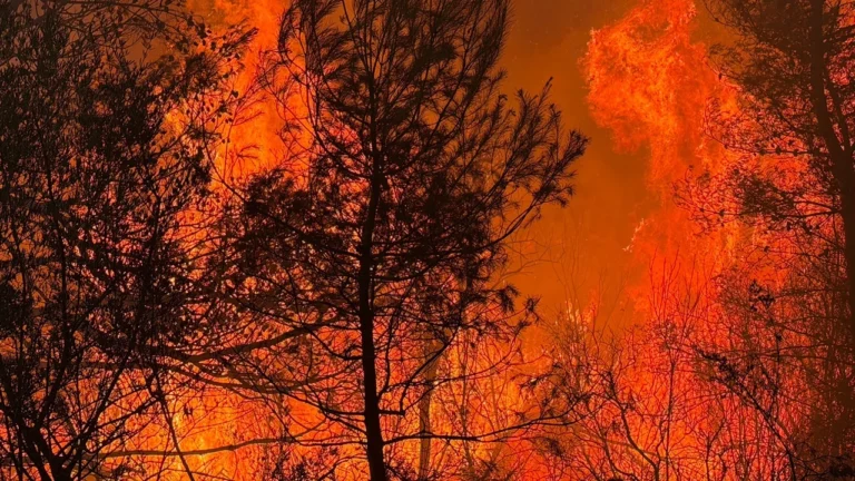 Última hora dels incendis a Espanya: els veïns de 13 municipis d’Àvila i Madrid tornen a les seves cases
