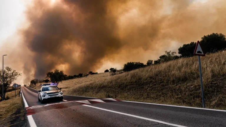 Els incendis al centre de la Península deixen prop de 90.000 afectats, 45.000 hectàrees cremades i una víctima mortal a Manises