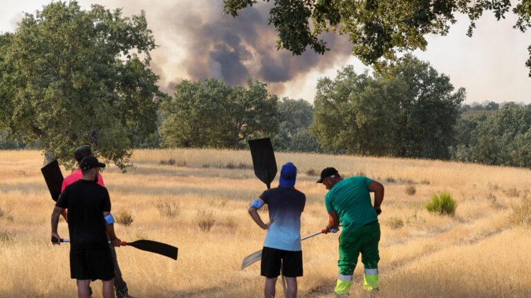Resum dels incendis a Espanya el 29 de juliol: Els evacuats de Madrid i Àvila tornen a casa, el foc a Castelló avança i apareixen nous focus a Zamora i Lleó
