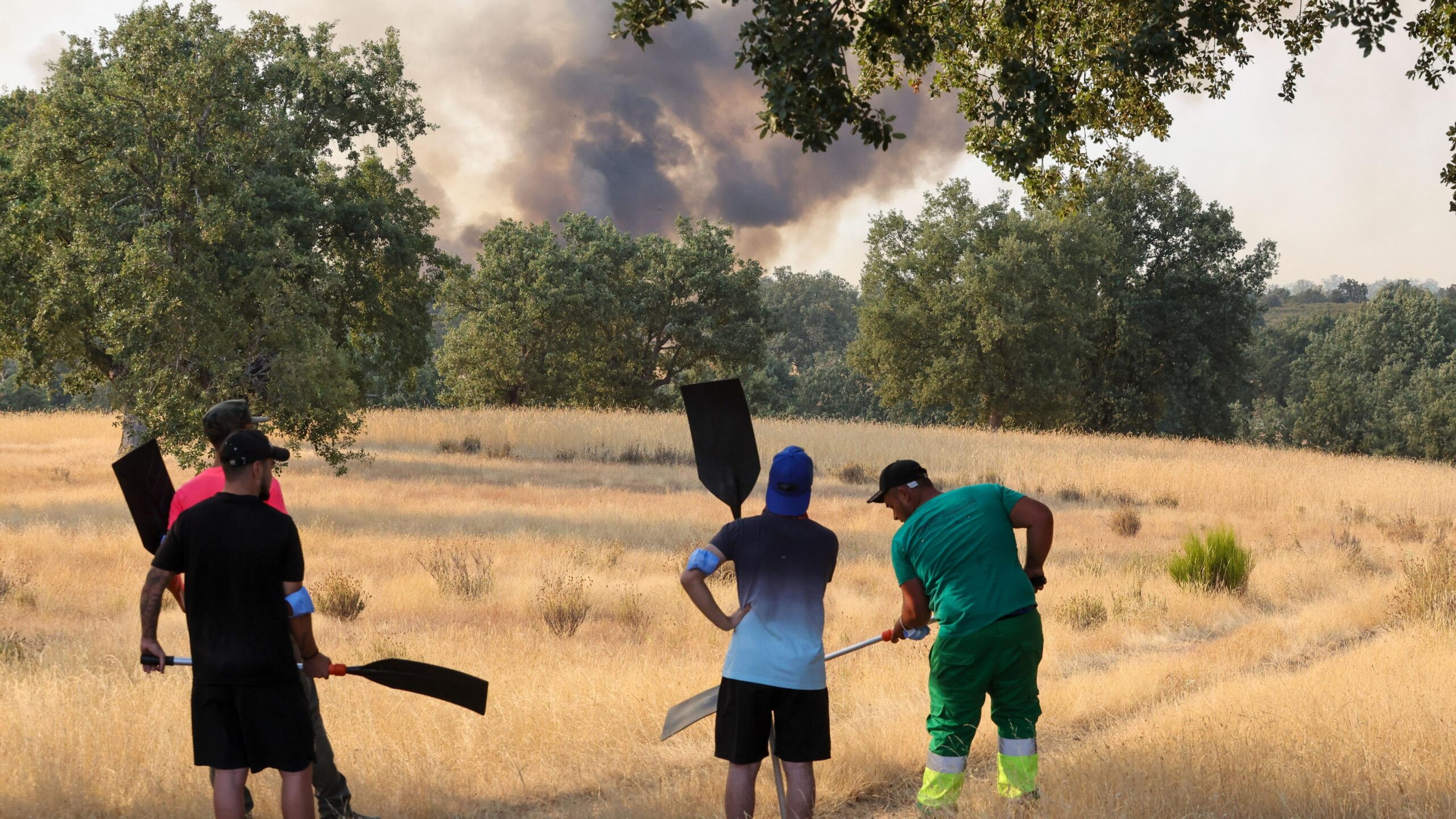 Madrid evacuats, Castelló foc, Zamora incend