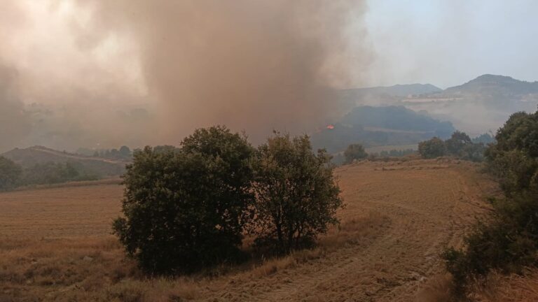 El gran incendi forestal a la comarca de les Cinco Villas a Saragossa: un desastre que cremà 14.000 hectàrees i esdevé el major de l’any a Espanya